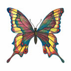 Tie-Dye Butterfly 1