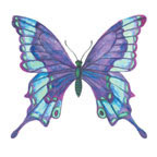 Tie Dyed Butterfly 3 - GLI