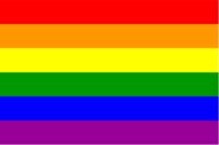 Gay Pride Rainbow Flag S