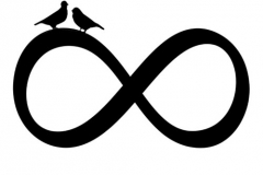 Infinity Birds