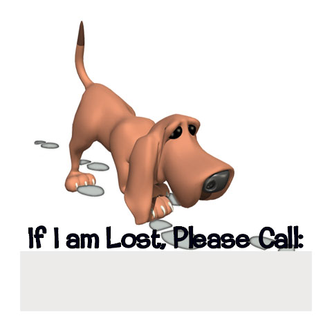 If Lost - Dog
