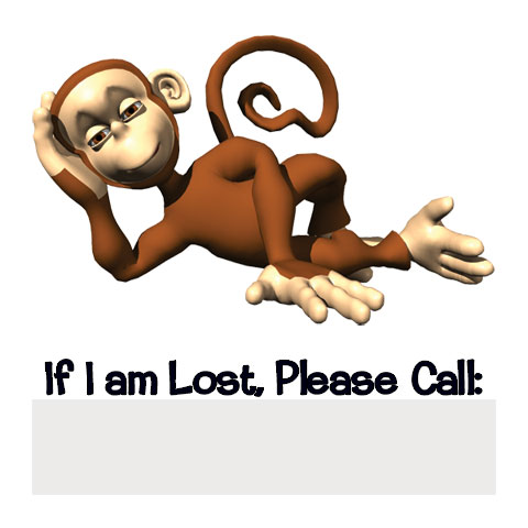 If Lost - Monkey