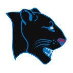 Panther Head 1