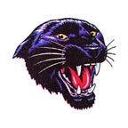 Panther Head 2