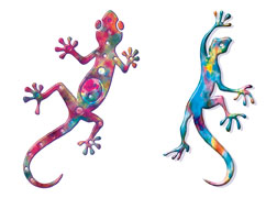 Rainbow Geckos 2