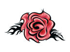 Rose Flower 3