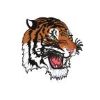 Tiger Head 1