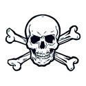 Skull and cross bones