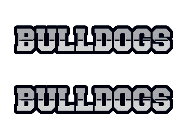 Bulldogs team fan