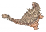 Dinosaur - Ankylosaurus