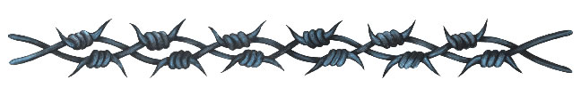 Double Barbed Wire