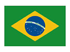 Brazil Flag