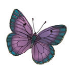 Natural Butterfly 4