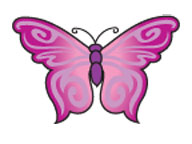 Pink Butterfly