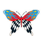 Race Flags Butterfly