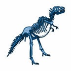 T-Rex Skeleton