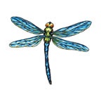 Dragonfly 1