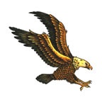 Eagle 1