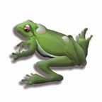 3D Frog