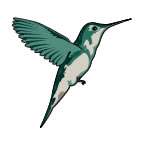 Hummingbird