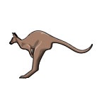 Kangaroo