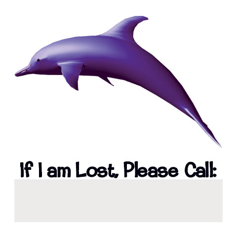 If Lost - Dolphin