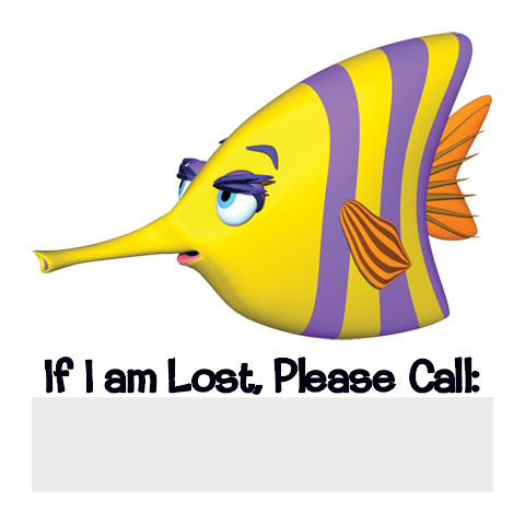 If Lost - Fish