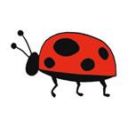 Ladybug 2