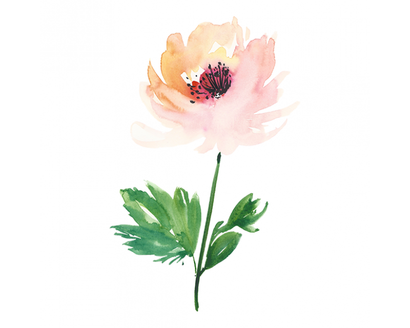 Watercolour Flower