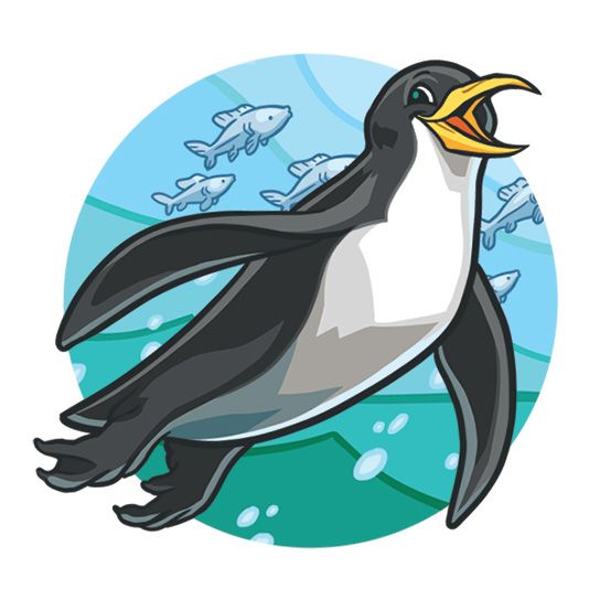 Cartoon Penguin