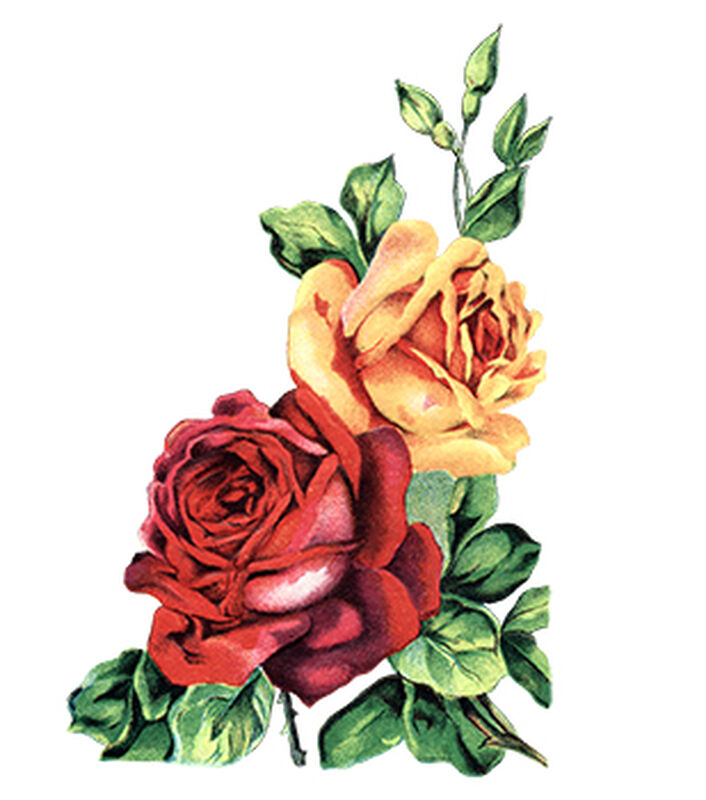 Roses Floral