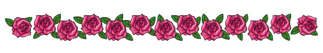 Pink Roses