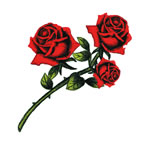 Bright Red Roses