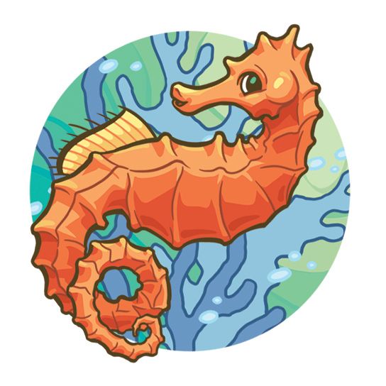 Cartoon Seahorse