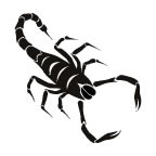 Scorpion 1