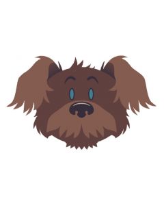 Brown Dog Head