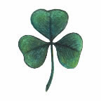 Shamrock