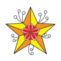 Orange Flower Star