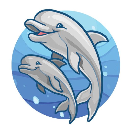 Cartoon Two Dolphins 3