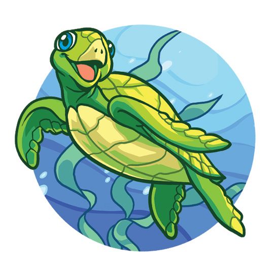 Cartoon Turtle