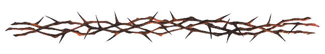 Brown Thorns