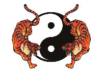 Yin Yang and 2 Tigers
