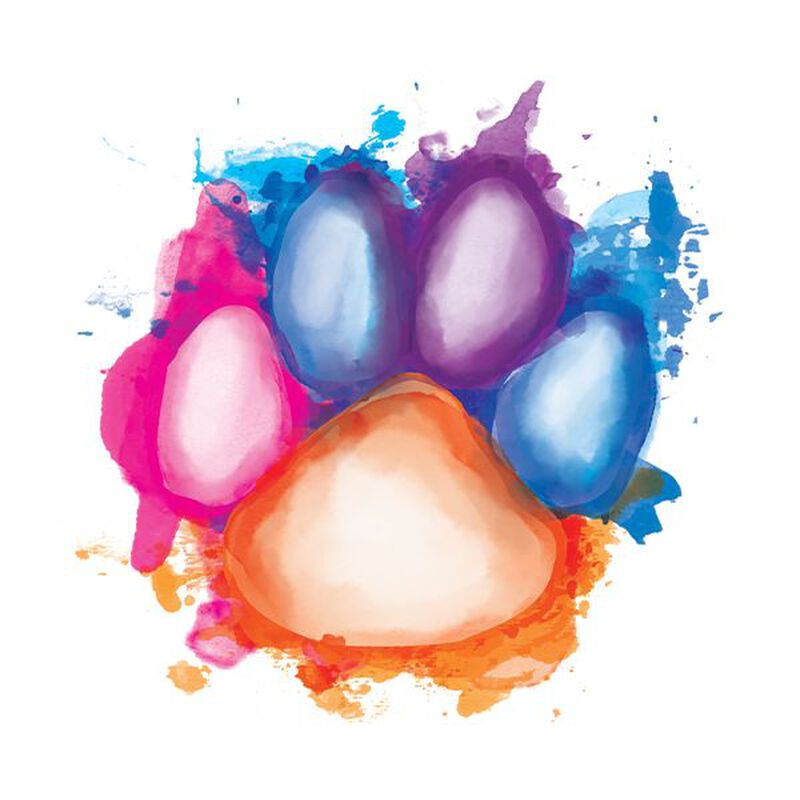 Watercolour Paw