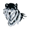 Black and White Wolf